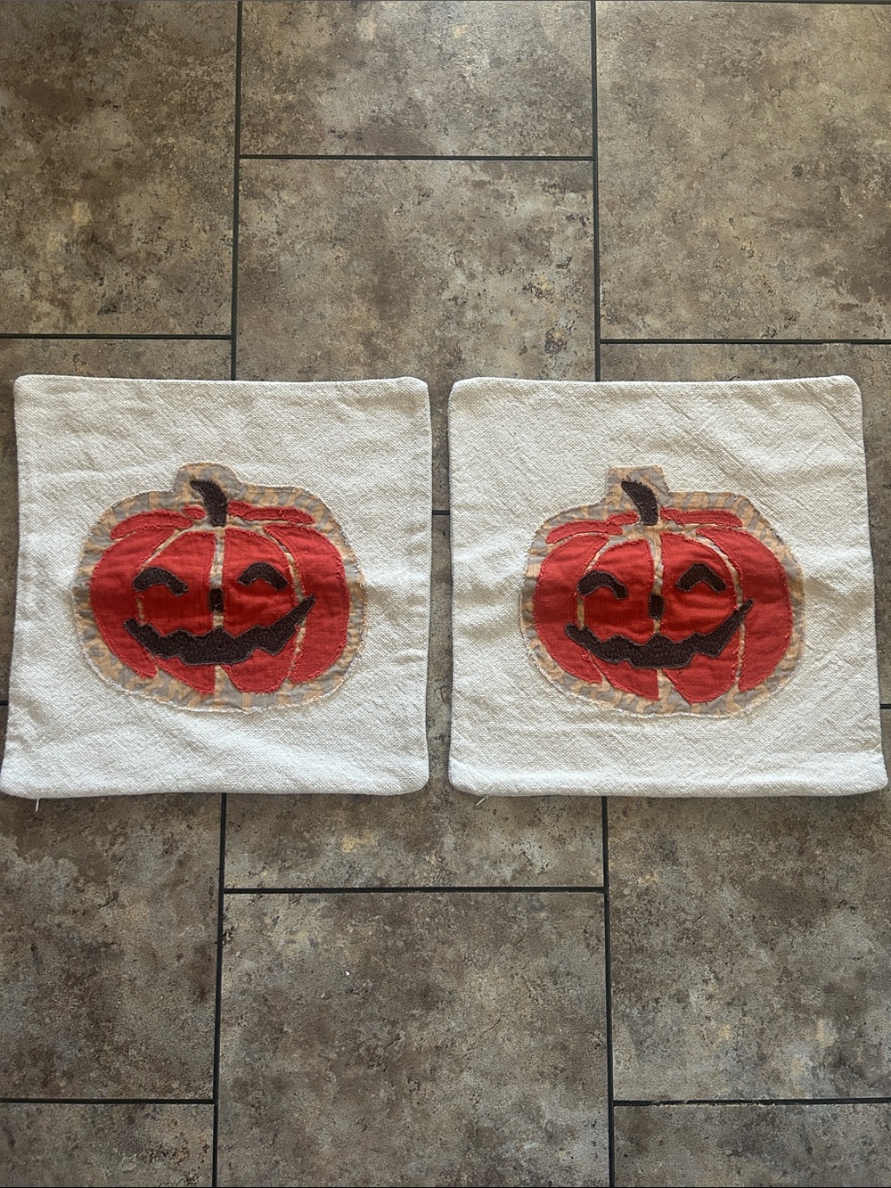 Pottery Barn Cream Halloween / Fall Pumpkin Appliqué Pillow Covers ( 2 )